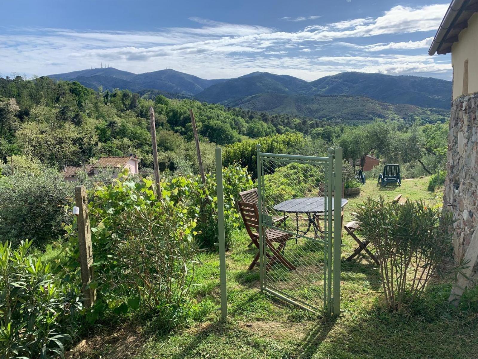 La Capanna Di Arturo Piano Terra Villa Капанари Екстериор снимка